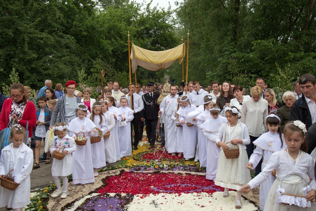 Spycimierz: tradycja dywanów kwiatowych na Boże Ciało na Listę UNESCO (dossier)