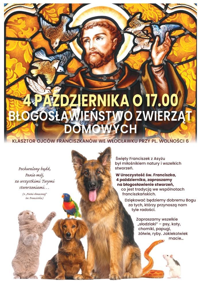 Włocławek: błogosławieństwo zwierząt domowych we wspomnienie św. Franciszka z Asyżu (zapowiedź)