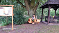 Pielgrzymka śladami bł. Bogumiła z Dobrowa