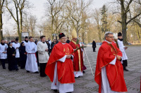 Biskup Włocławski przewodniczył uroczystościom Niedzieli Palmowej