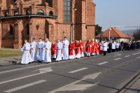 Biskup Włocławski przewodniczył uroczystościom Niedzieli Palmowej