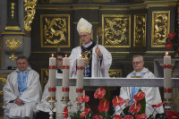 Bazylika Wszystkich Świętych w Sieradzu: wprowadzenie relikwii św. Jadwigi Królowej