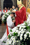 Diecezja Włocławska ma nowych prezbiterów