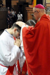 Diecezja Włocławska ma nowych prezbiterów
