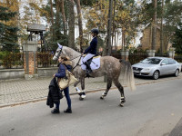 Hubertus w Michelinie