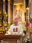 Księża diecezji włocławskiej pielgrzymowali do Kalisza
