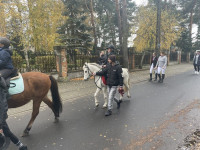 Uroczystości ku czci św. Huberta w Michelinie